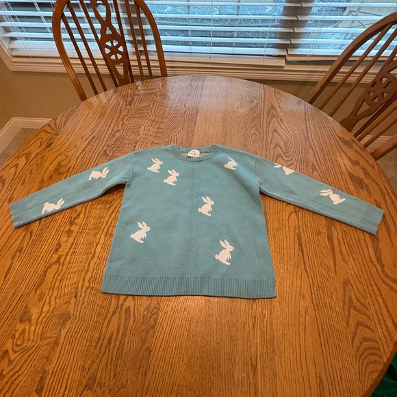 Hanna Andersson 120 US 6 Girls Turquoise Ski Bunny Sweater EUC - Picture 2 of 7